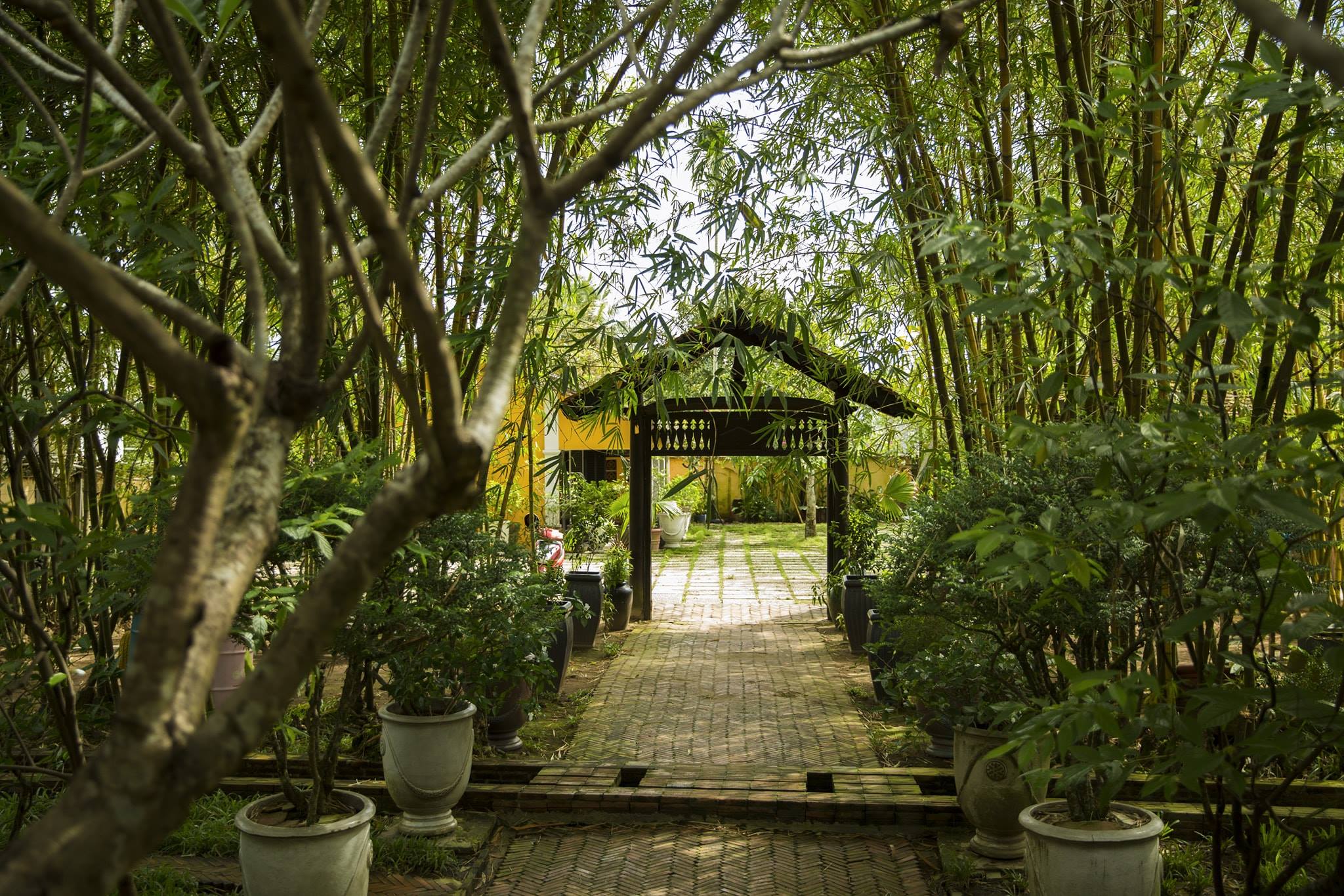 Đường mòn lót gạch dẫn vào khu nghỉ dưỡng Haan Boutique Resort bao quanh bởi những rặng tre xanh mát.